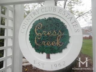 Cress Creek subdivision in Naperville, IL