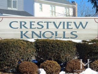 Crestview Knolls subdivision in Naperville, IL
