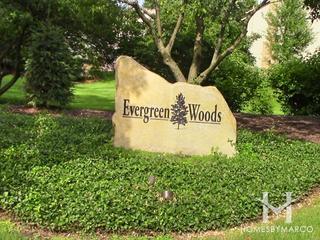 Evergreen Woods