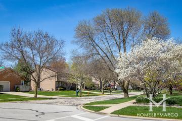 Farmington subdivision in Naperville, IL