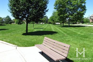 Fox Meadows subdivision in Naperville, IL