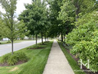 Harmony Grove subdivision in Naperville, IL