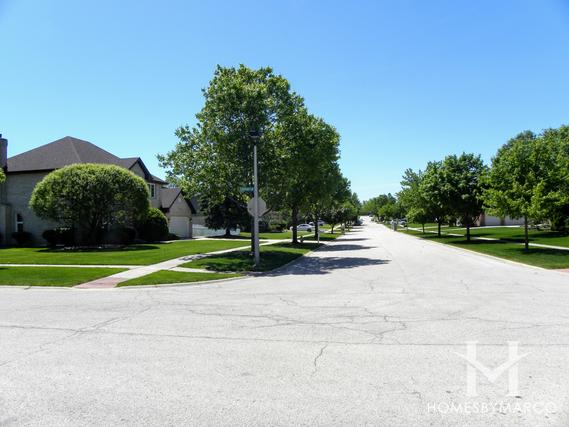 Woodbine subdivision in Homer Glen, IL