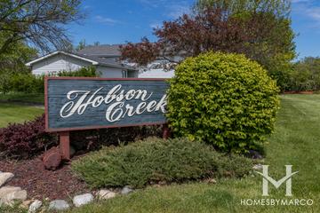 Photos of Hobson Creek subdivision in Naperville, IL
