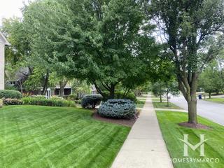 Hobson Hollow subdivision in Naperville, IL