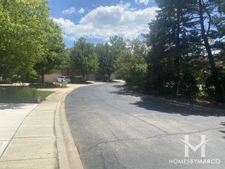 Hobson Woods subdivision in Naperville, IL