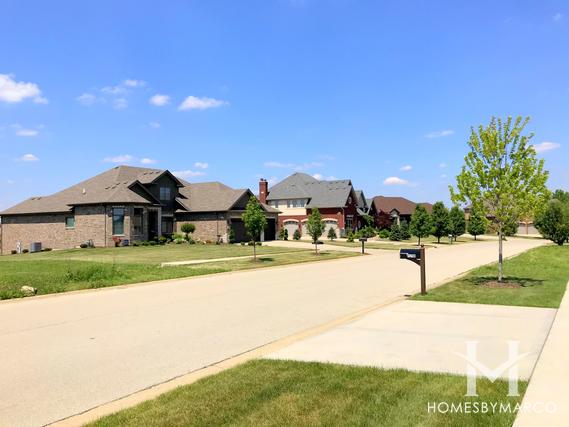 Glenview Walk Estates subdivision in Homer Glen, IL