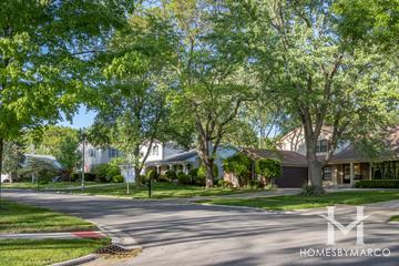Indian Hill subdivision in Naperville, IL