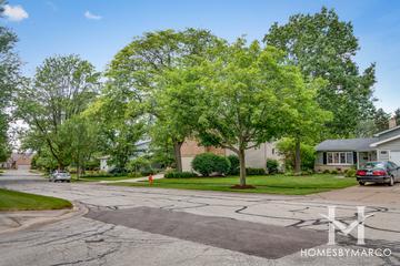Kings Terrace subdivision in Naperville, IL