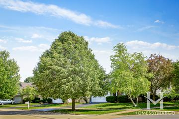 Lakewood Crossing subdivision in Naperville, IL