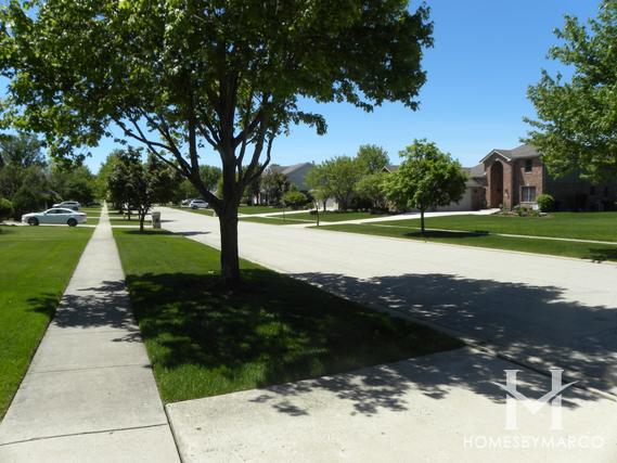 Saddle Brook subdivision in Homer Glen, IL