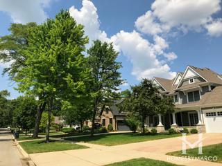 Miledge subdivision in Naperville, IL
