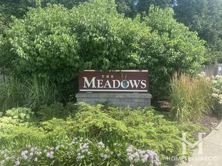 Meadows