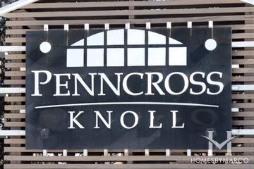 Penncross Knoll subdivision in Naperville, IL