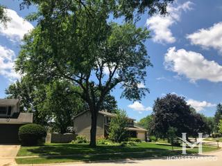 Steeple Run subdivision in Naperville, IL