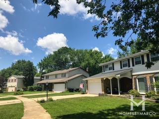 Steeple Run subdivision in Naperville, IL