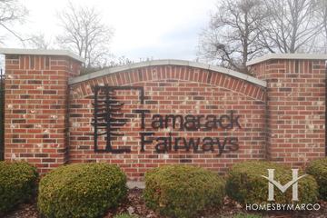 Tamarack Fairways subdivision in Naperville, IL