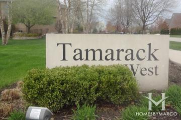 Tamarack West subdivision in Naperville, IL