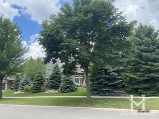 Tamarack West subdivision in Naperville, IL