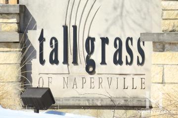 Tall Grass subdivision in Naperville, IL