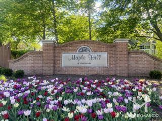 Maple Hill