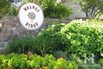 Photos of Walnut Ridge subdivision in Naperville, IL