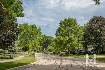 Village Green subdivision in Naperville, IL