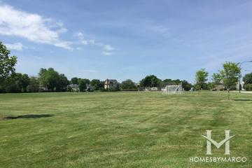 Will-O-Way subdivision in Naperville, IL