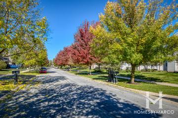 White Eagle subdivision in Naperville, IL
