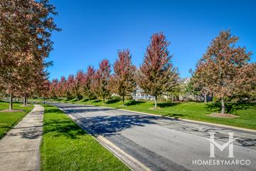 White Eagle subdivision in Naperville, IL