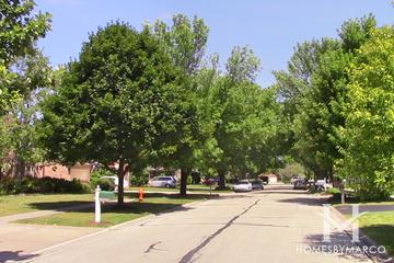 Winding Creek subdivision in Naperville, IL