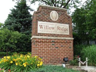 Photos of Willow Ridge subdivision in Naperville, IL