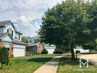 Wildflower subdivision in Naperville, IL