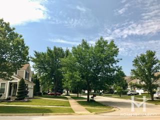 Wildflower subdivision in Naperville, IL
