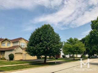 Wildflower subdivision in Naperville, IL