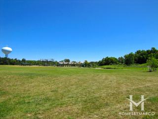 Academy Woods subdivision in Lake Forest, IL