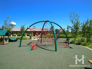 Academy Woods subdivision in Lake Forest, IL