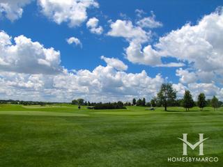 Arcady subdivision in Lake Forest, IL