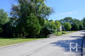 Lucky Lake subdivision in Lake Forest, IL