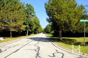 Lucky Lake subdivision in Lake Forest, IL