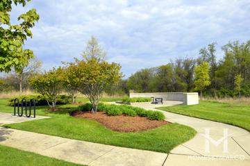 Carrington Reserve subdivision in West Dundee, IL