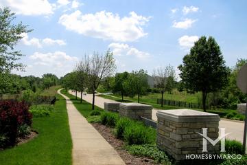 Carrington Reserve subdivision in West Dundee, IL