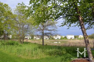 Carrington Reserve subdivision in West Dundee, IL