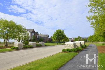 Carrington Reserve subdivision in West Dundee, IL