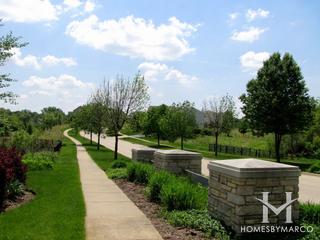 Carrington Reserve subdivision in West Dundee, IL