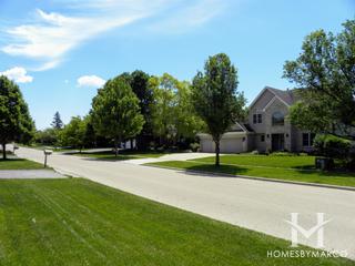 Fox Trail subdivision in Batavia, IL
