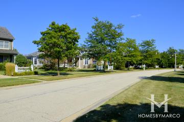Park Lane subdivision in Lake Forest, IL