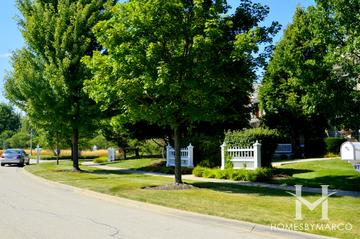 Park Lane subdivision in Lake Forest, IL