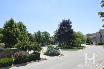 Sarahs Glen subdivision in Vernon Hills, IL