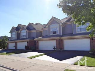 Photos of Checker Place subdivision in Buffalo Grove, IL